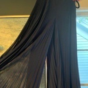 Club Monaco | Navy Pleated Pants